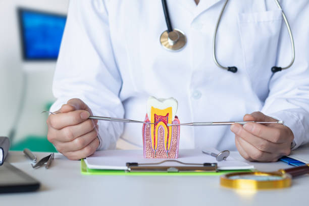 Best Emergency Tooth Extraction in Centerfield, UT